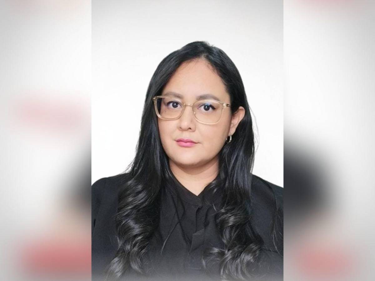 Los rostros de los precandidatos a diputados del movimiento “MEL” por Francisco Morazán