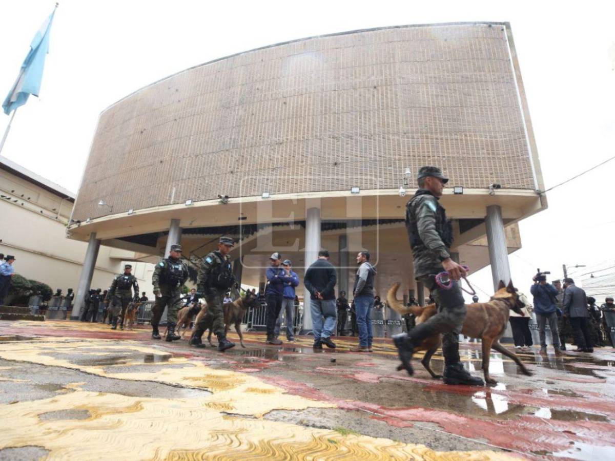 Binomios caninos forman parte del blindaje del Congreso Nacional