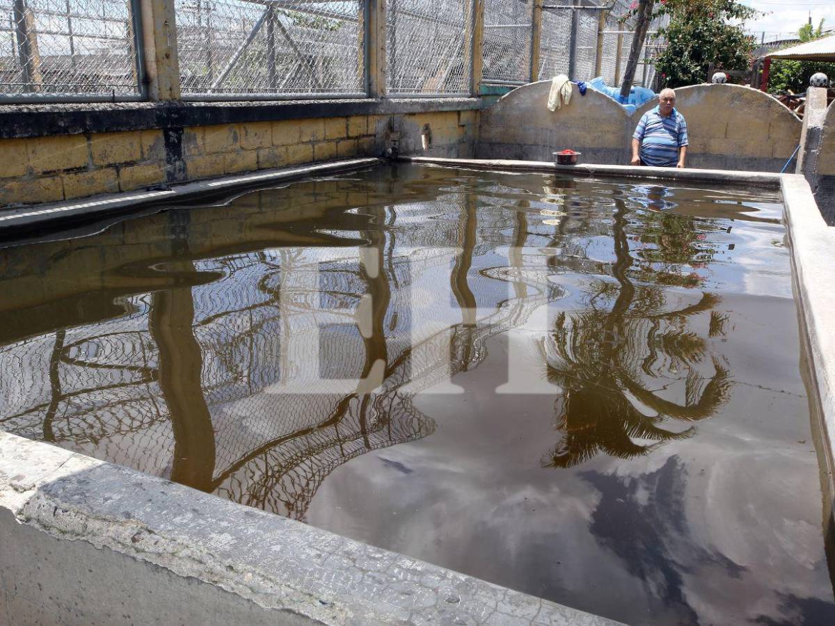 Pelea de gallos, criadero de peces y patos: Támara está lejos de ser una cárcel