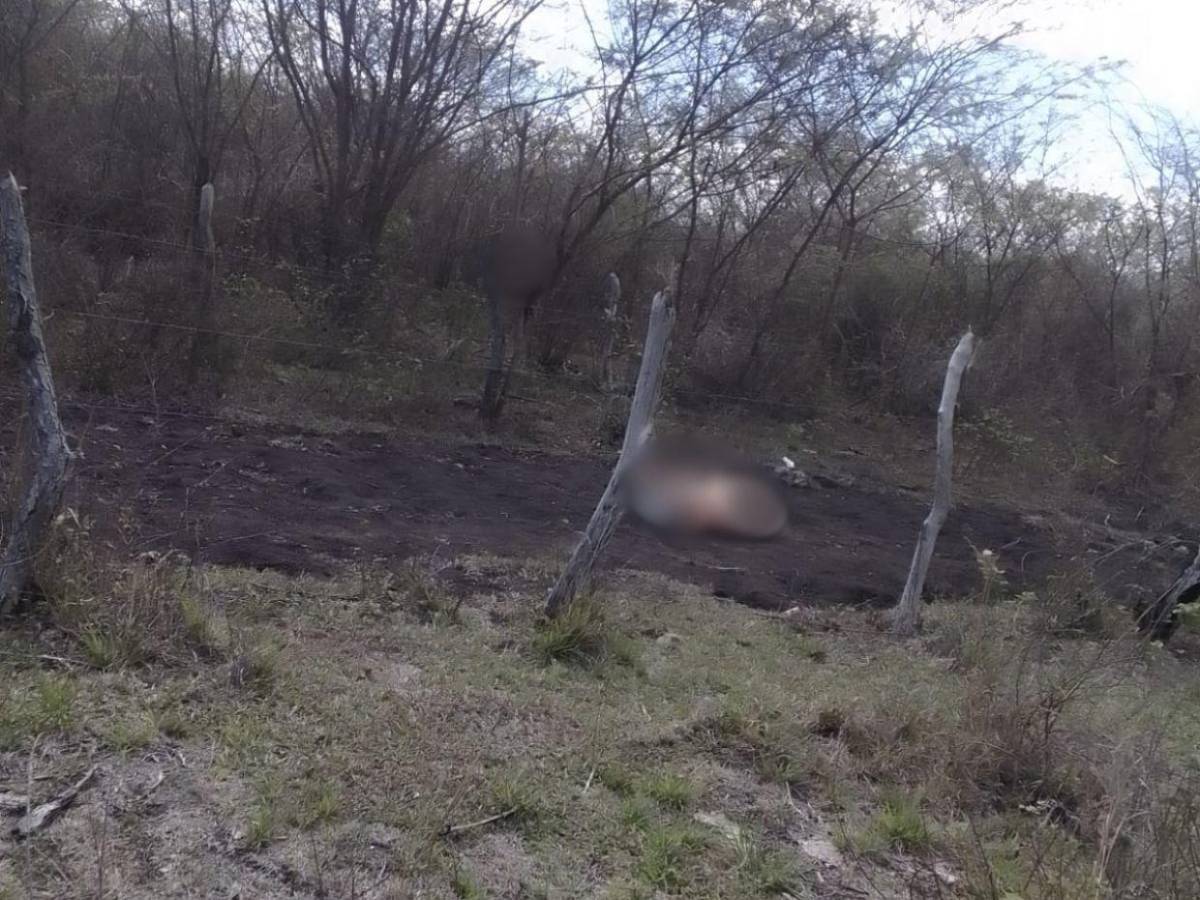 “Apenas es el comienzo”: Cartel del Diablo grabó mientras decapitaba a mujer en Yoro