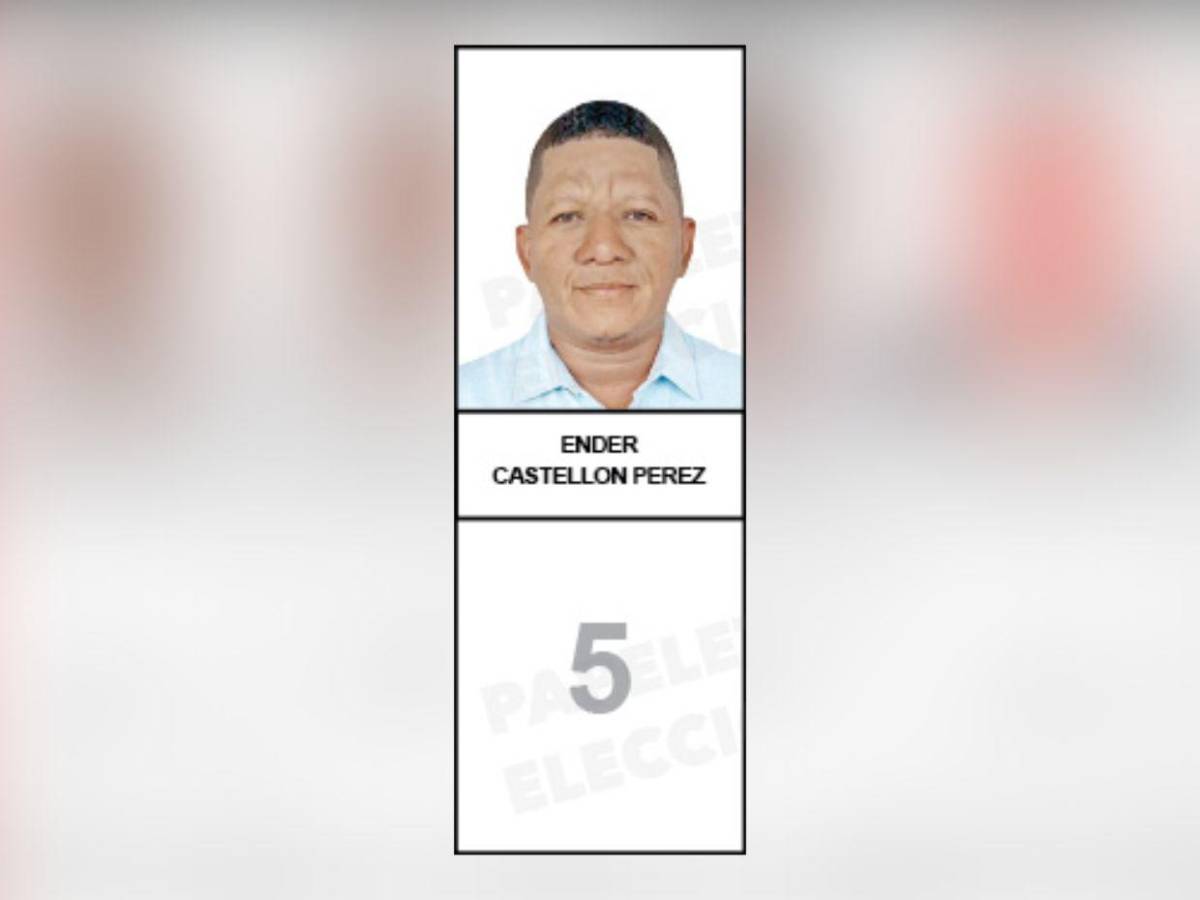 Papeleta con los rostros de los candidatos a diputados nacionalistas que buscan un curul en el CN