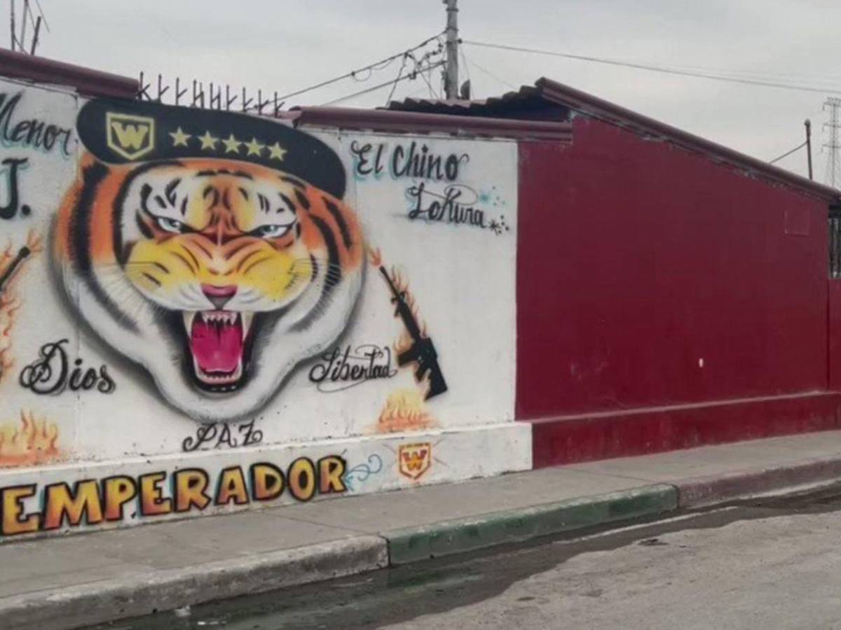 Pandilla 18 y MS-13: ¿Cuáles son los grupos criminales sancionados bajo el Escudo de las Américas?