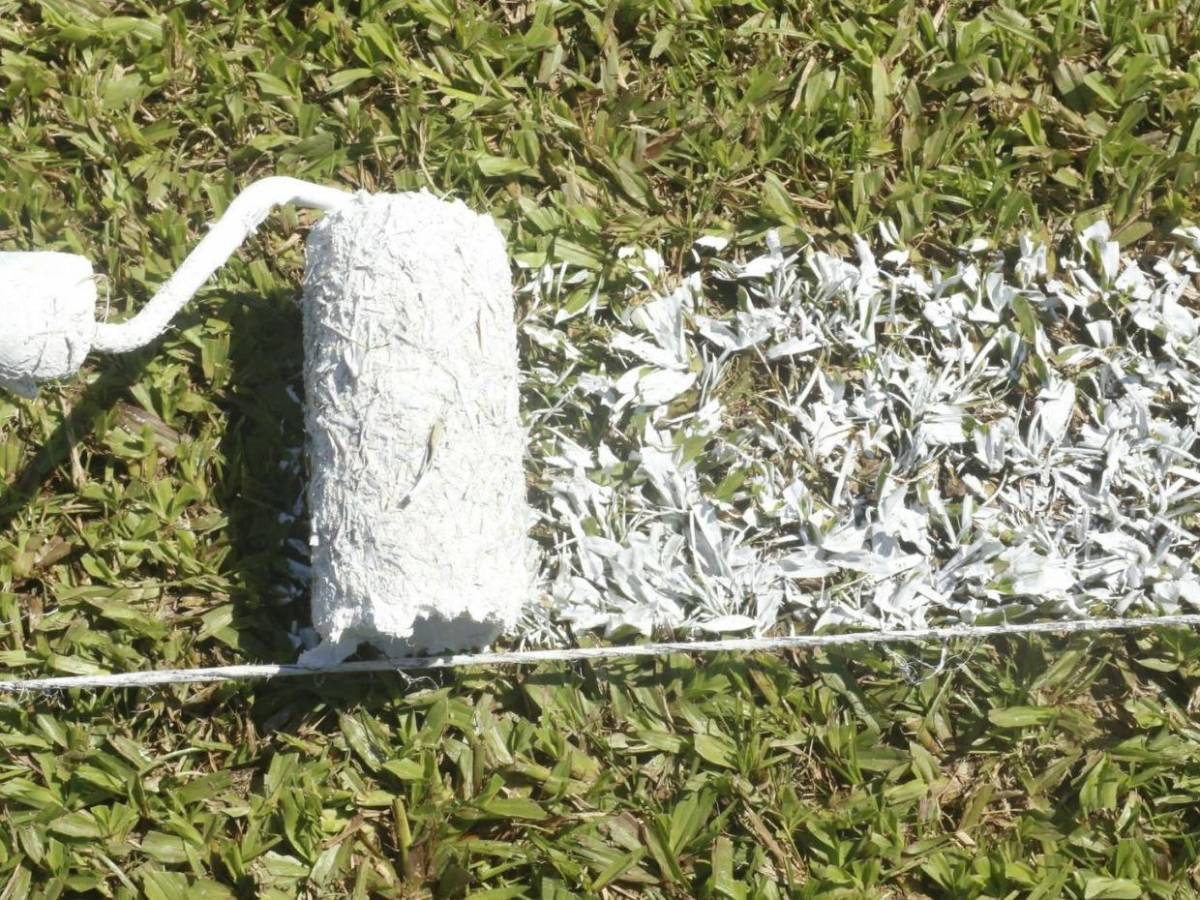 ¡Fiesta en el Olímpico! Barras ponen el color, sorpresa a Lavallén y el mejor ambiente