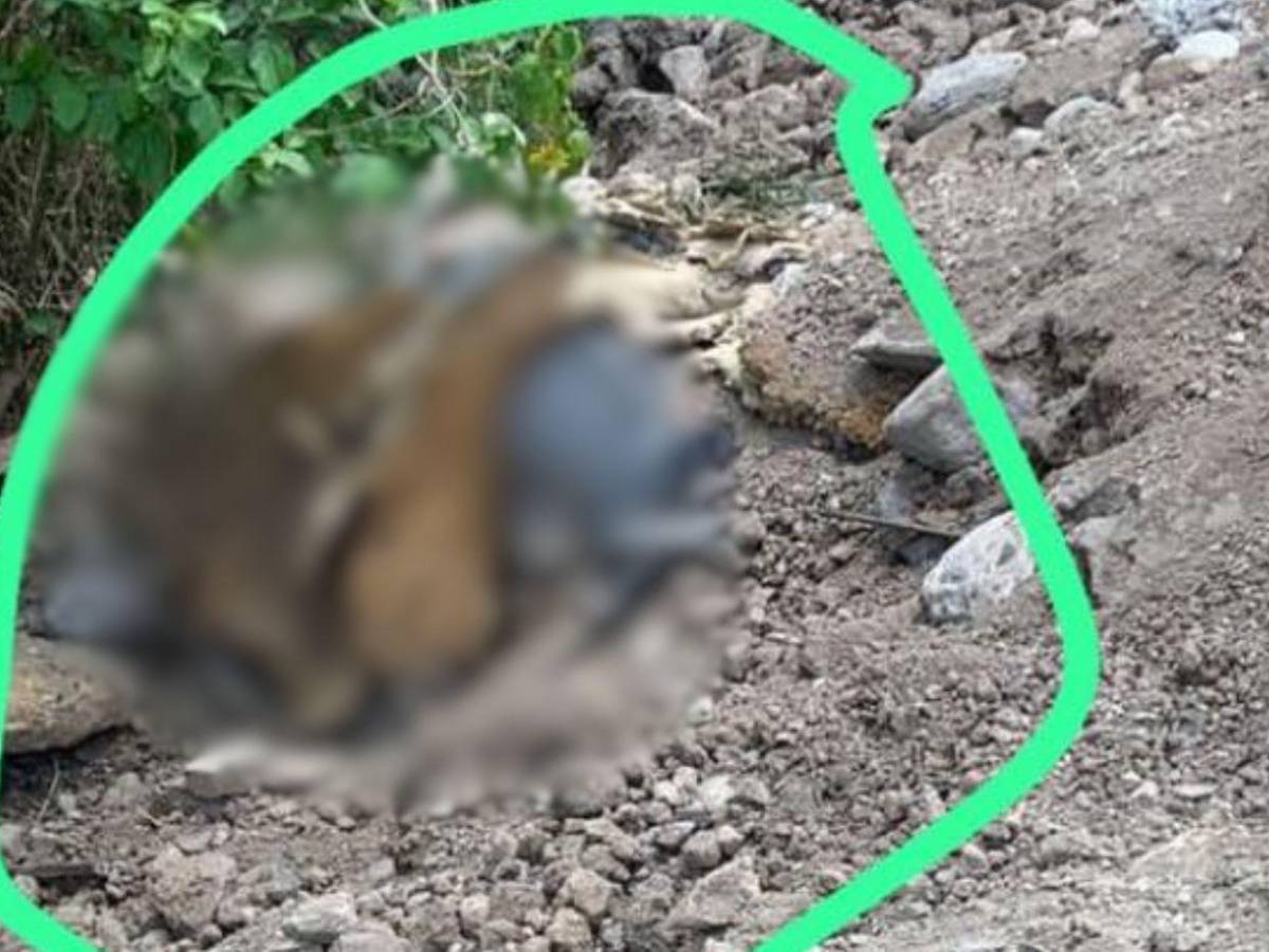 Ana Serrano fue asesinada y semienterrada por su pareja en Ocotepeque