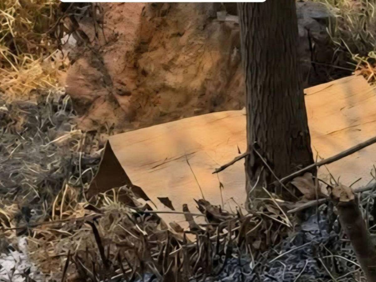 Fue asesinada y luego quemaron su cuerpo: detalles del crimen en San Antonio de Cortés