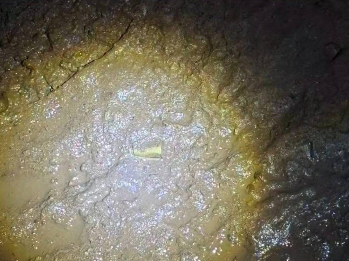 Briseida subía fotos con armas y chalecos y fue asesinada por sicarios