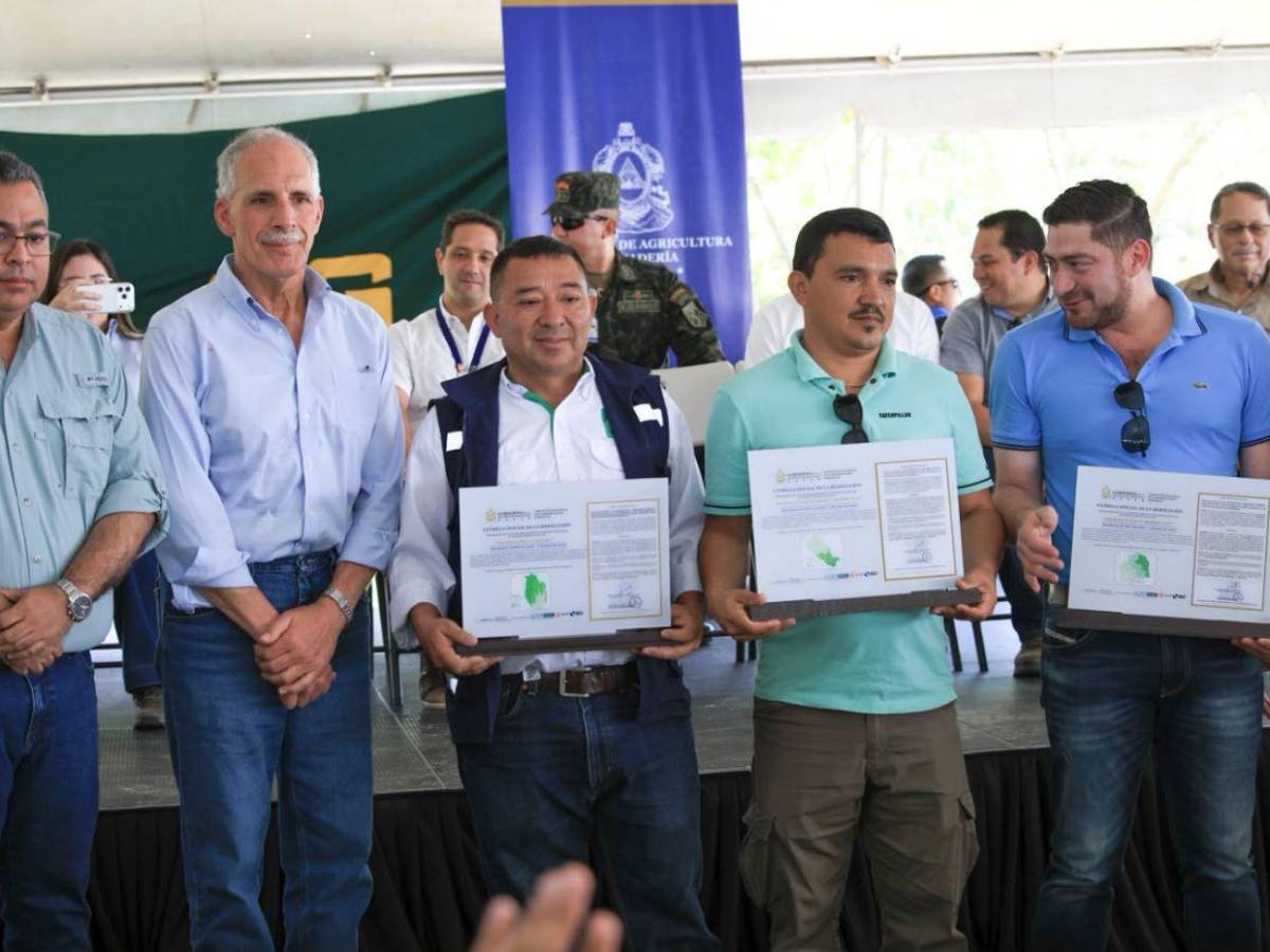 ¿Quiénes podrán acceder al nuevo proyecto agrícola de L455 millones anunciado por Nasry Asfura?