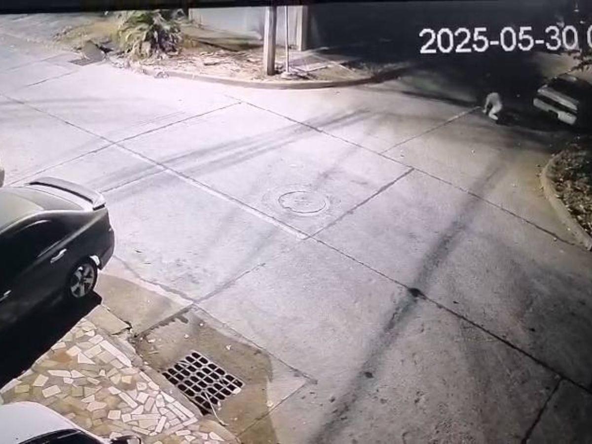 Recibió 30 machetazos: Yensy Guzmán quedó completamente desfigurada tras brutal ataque de su esposo