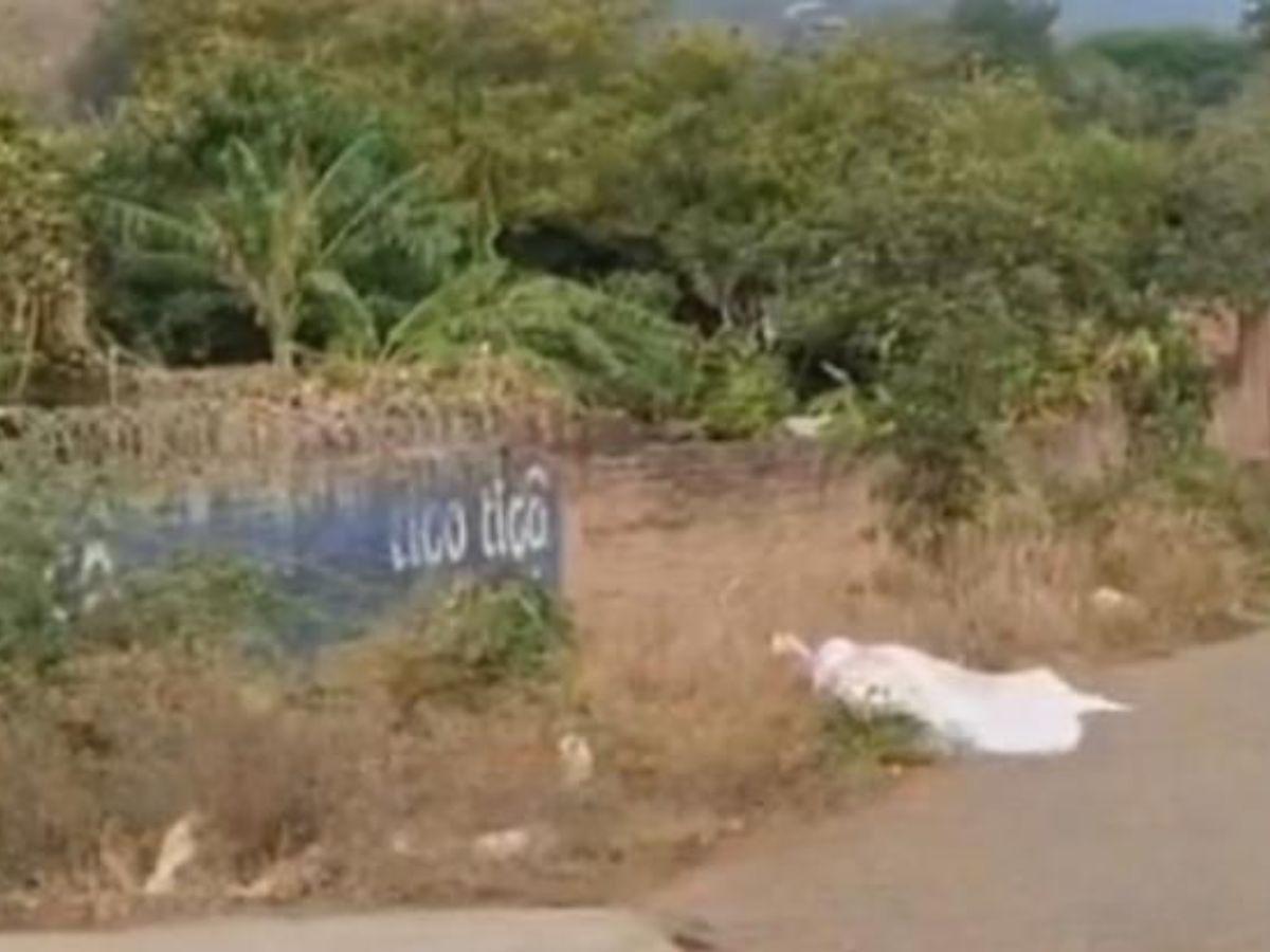 Le causó varias heridas en el cuello: doña María habría sido asesinada por su exyerno