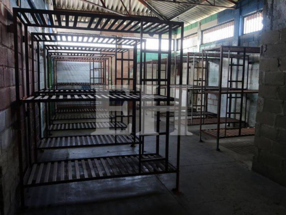 Pelea de gallos, criadero de peces y patos: Támara está lejos de ser una cárcel