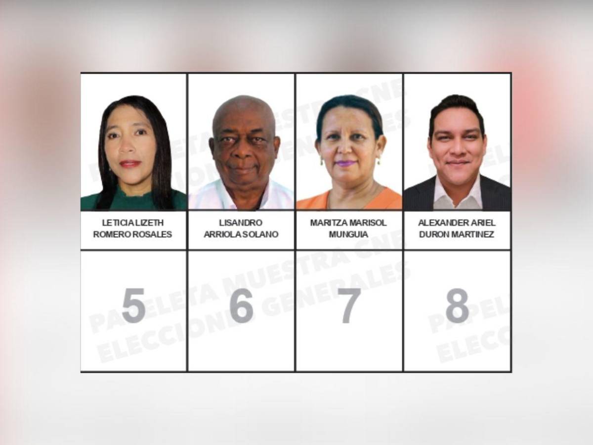 ¿Quiénes son los candidatos a diputados por el PINU-SD, de Nelson Ávila?