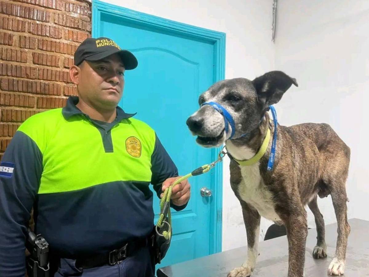 Josué Esperanza: el policía municipal que conmovió a Honduras en el Caso Zeus​​​​