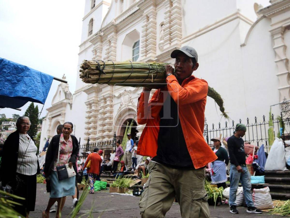 Tegucigalpa se viste de fe: inicia venta de ramos y cruces de palma en la capital
