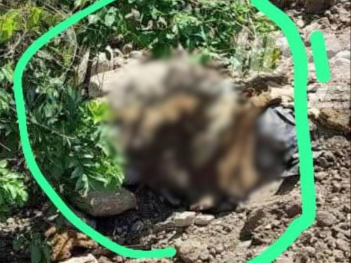 Ana Serrano fue asesinada y semienterrada por su pareja en Ocotepeque