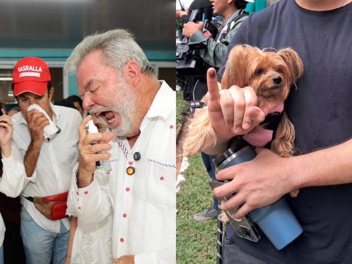 Curiosidades de las elecciones: desinfectante en la boca, tinta indeleble, perritos y cachetadas