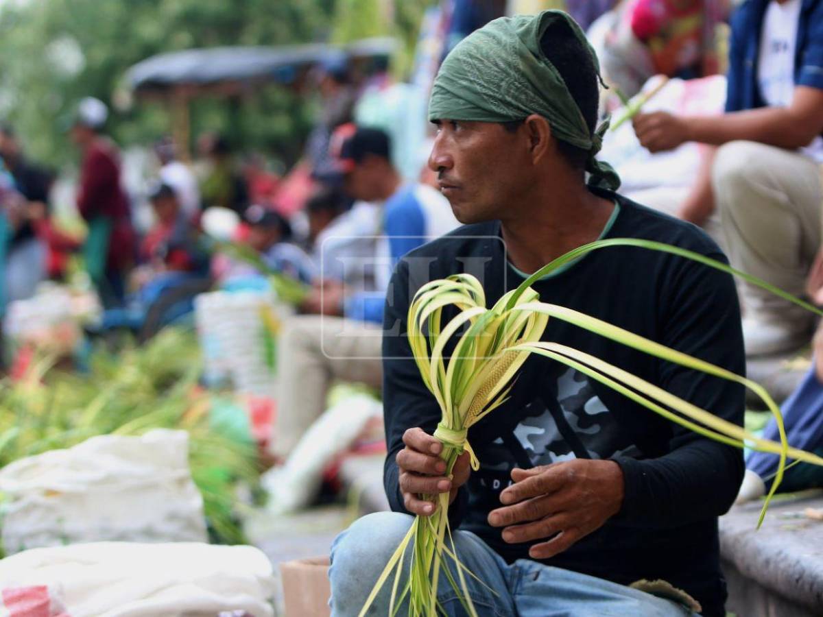 Tegucigalpa se viste de fe: inicia venta de ramos y cruces de palma en la capital