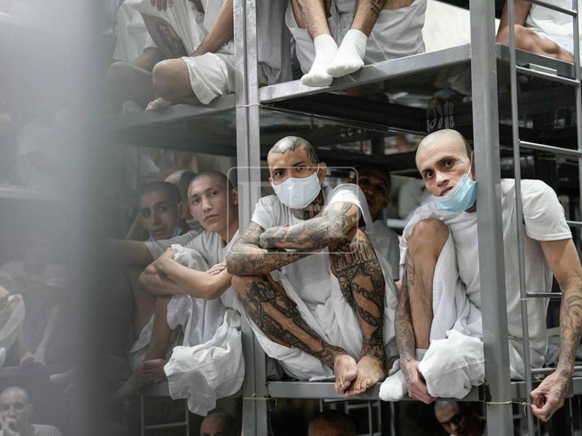 Barrio 18 y MS-13 conviven en la misma celda: las medidas del Cecot que el CN busca replicar en Honduras