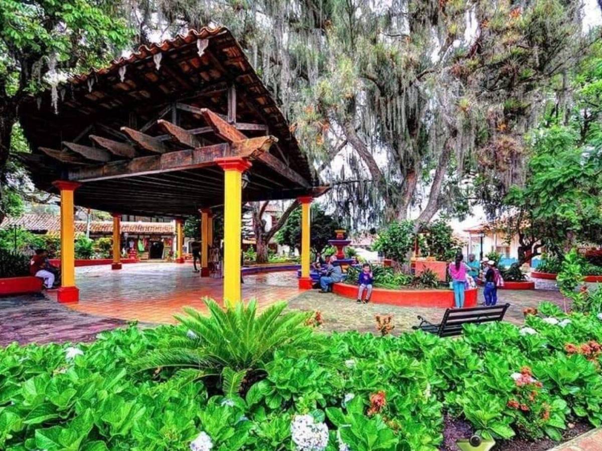 Senderismo, cultura y naturaleza: planes diferentes para Semana Santa  en Tegucigalpa