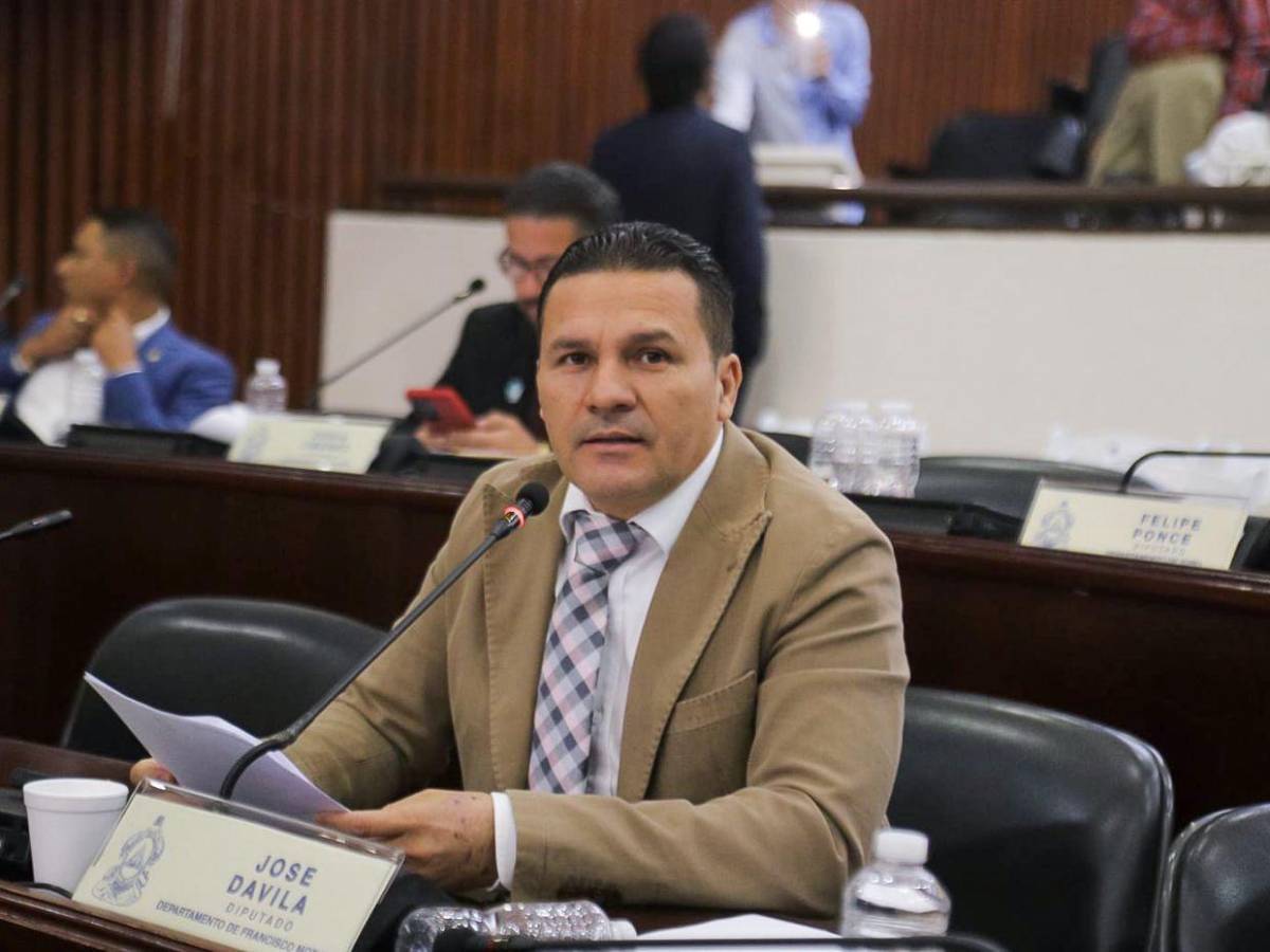 En el CN proponen asignar L 2 millones anuales a Shin Fujiyama para construir escuelas