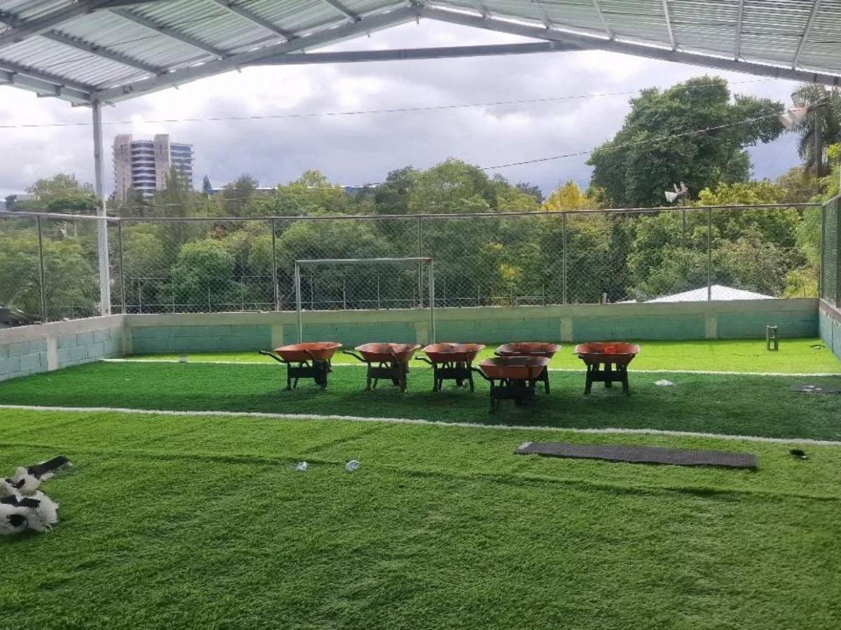 Condepor interviene cancha Dientes de Leche para instalar grama sintética