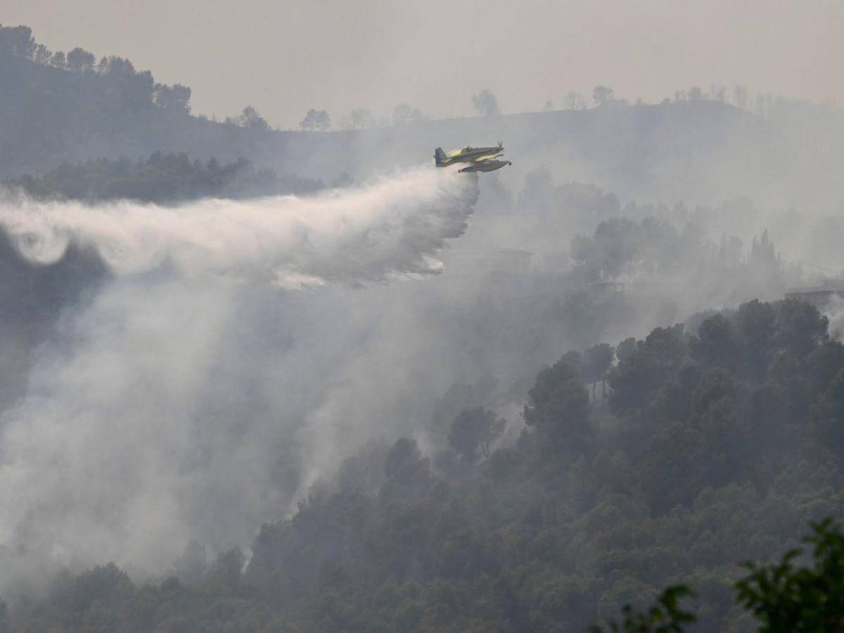 160 kilómetros de destrucción: el paisaje negro del peor incendio de la historia de España