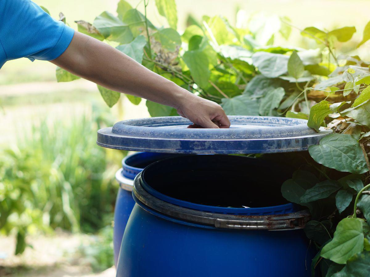 Hacer limpieza de solares, pilas y barriles, así como tapar recipientes que puedan acumular agua y ser un criadero potencial, son claves para evitar que se agrave la epidemia.