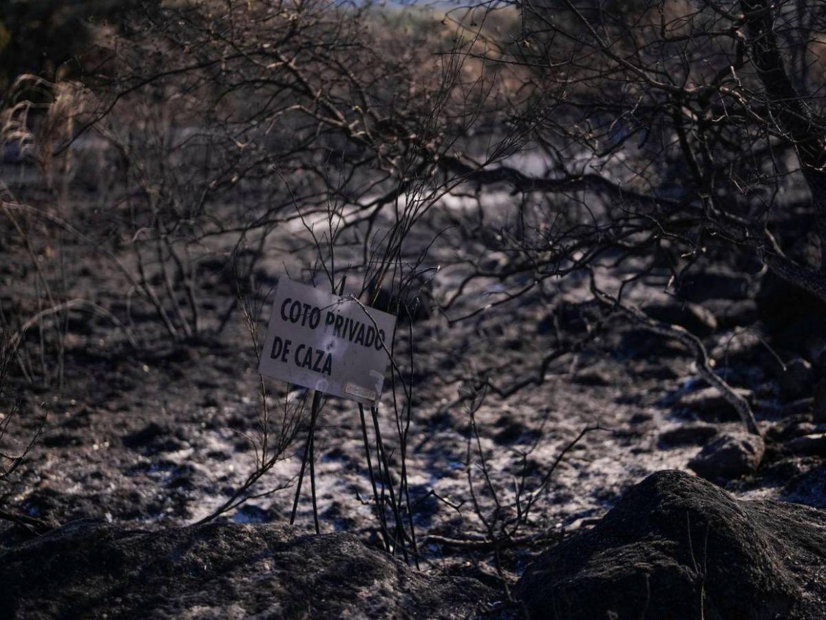 160 kilómetros de destrucción: el paisaje negro del peor incendio de la historia de España