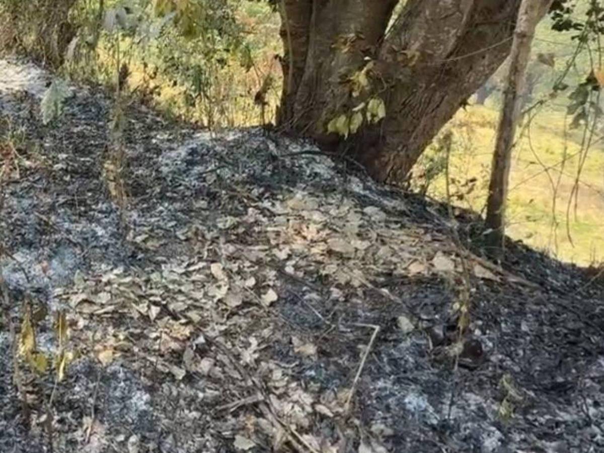 Fue asesinada y luego quemaron su cuerpo: detalles del crimen en San Antonio de Cortés
