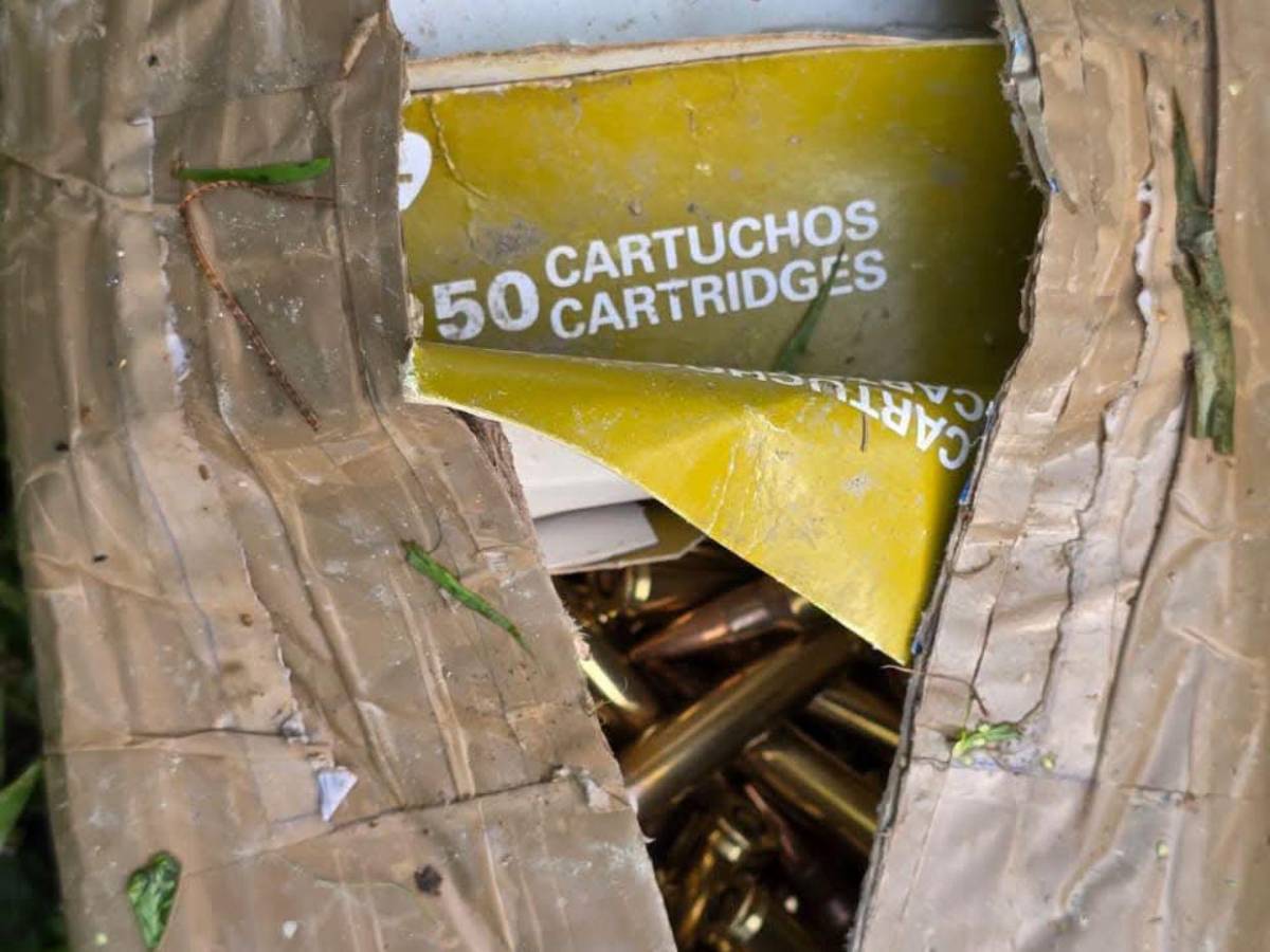 Fusiles AR-15 y municiones: el arsenal decomisado a los siete sospechosos de la masacre de Rigores