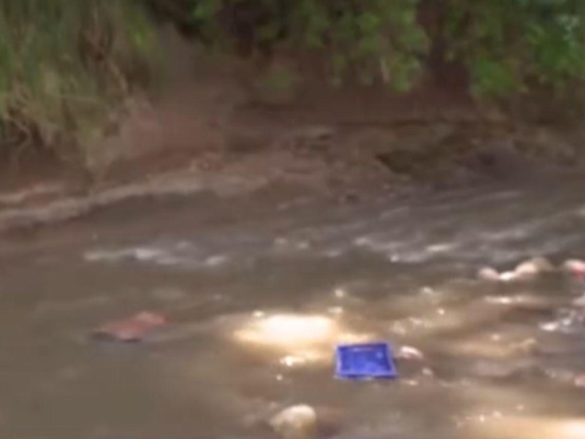 En las aguas del río Chiquito estaba flotando el cuerpo de la presunta mujer.