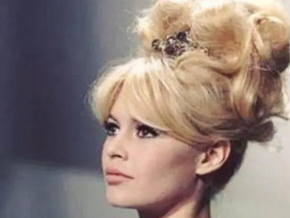 Antes y después de Brigitte Bardot: del ícono del cine a defensora de los animales