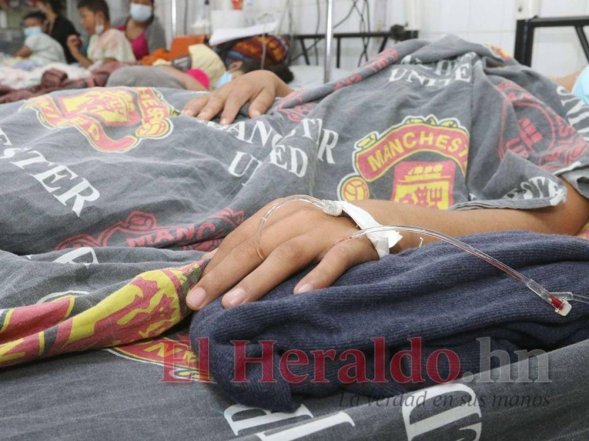 Por dengue grave han fallecido tres hondureños en lo que va de 2022