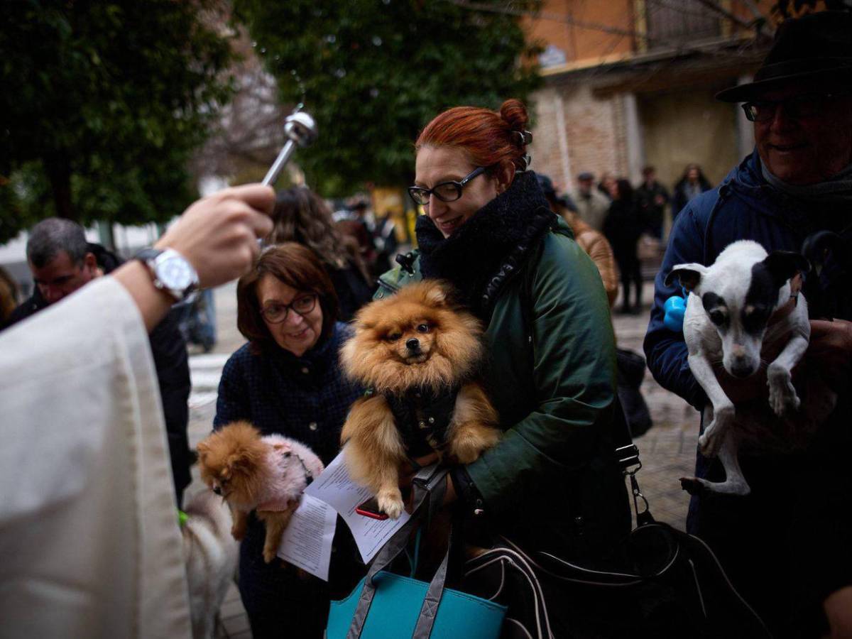 Entre patitas y bendiciones: la emotiva bendición de mascotas en San Antonio de Abad