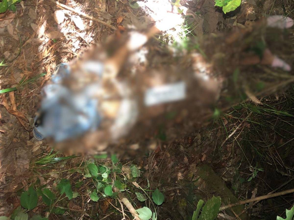 Con moretones en su cuerpo y semidesnuda encontraron a Rosi Izaguirre en La Tigra