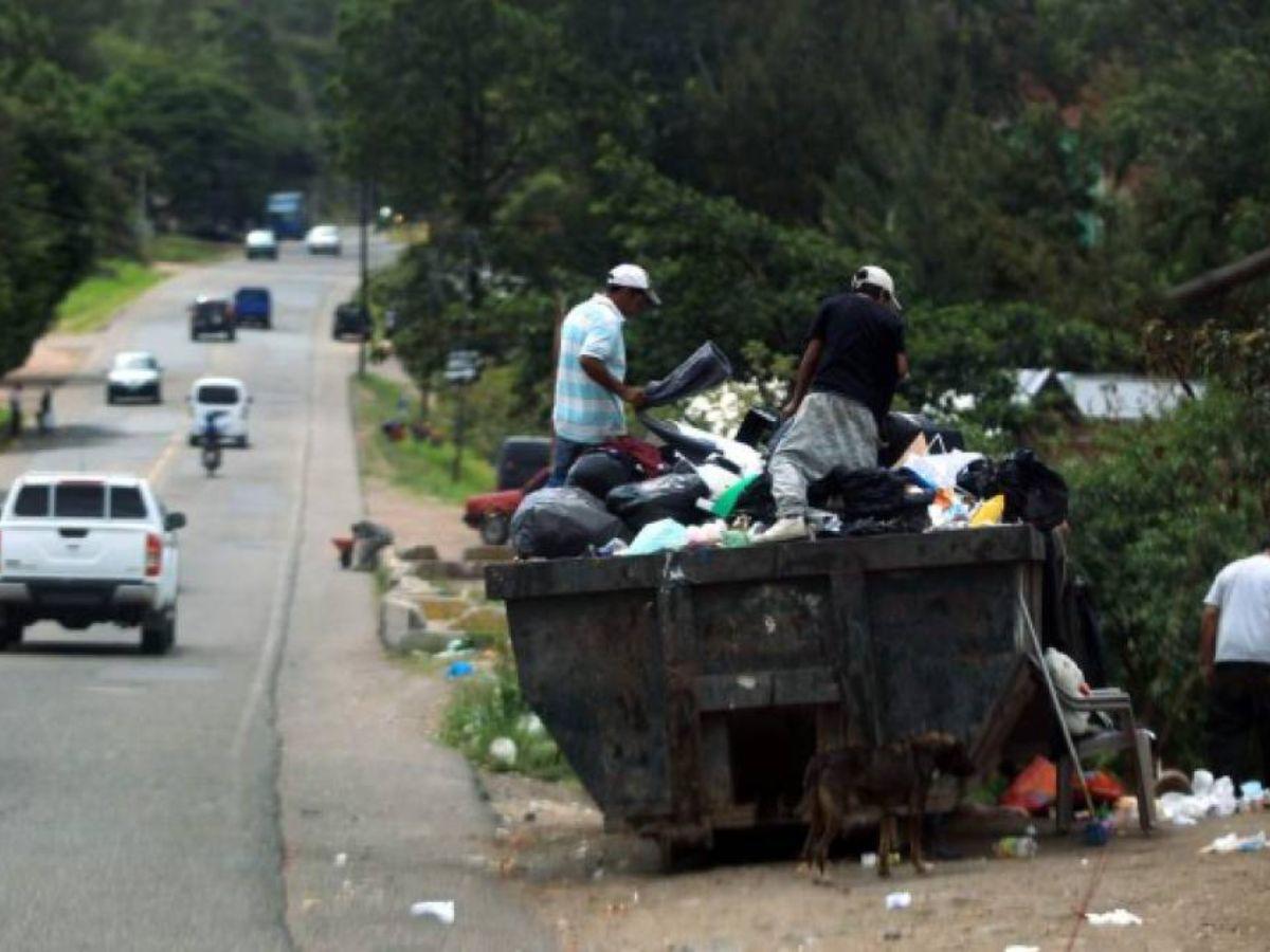 Además de la contaminación por no respetar los horarios en los contenedores proliferan personas de escasos recursos que viven de la basura.