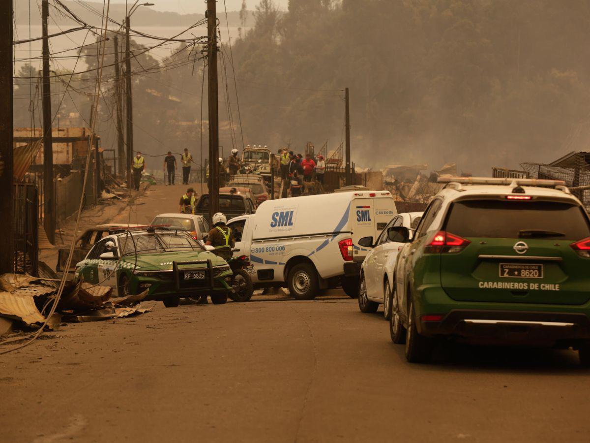 EN FOTOS: Con mascotas en brazos y lágrimas, chilenos abandonan sus casas tras incendio