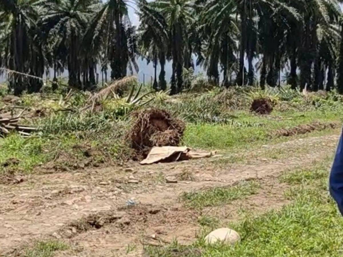 Estaba degollada: Katherine Mejía, tiktoker hallada muerta y con signos de tortura en Colón