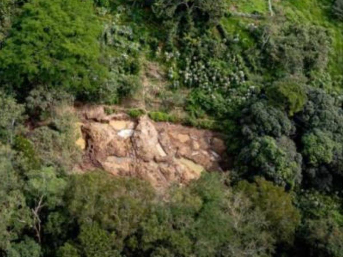 Empleados robaron $20 millones del botín de Magdaleno y luego se mataron por codicia