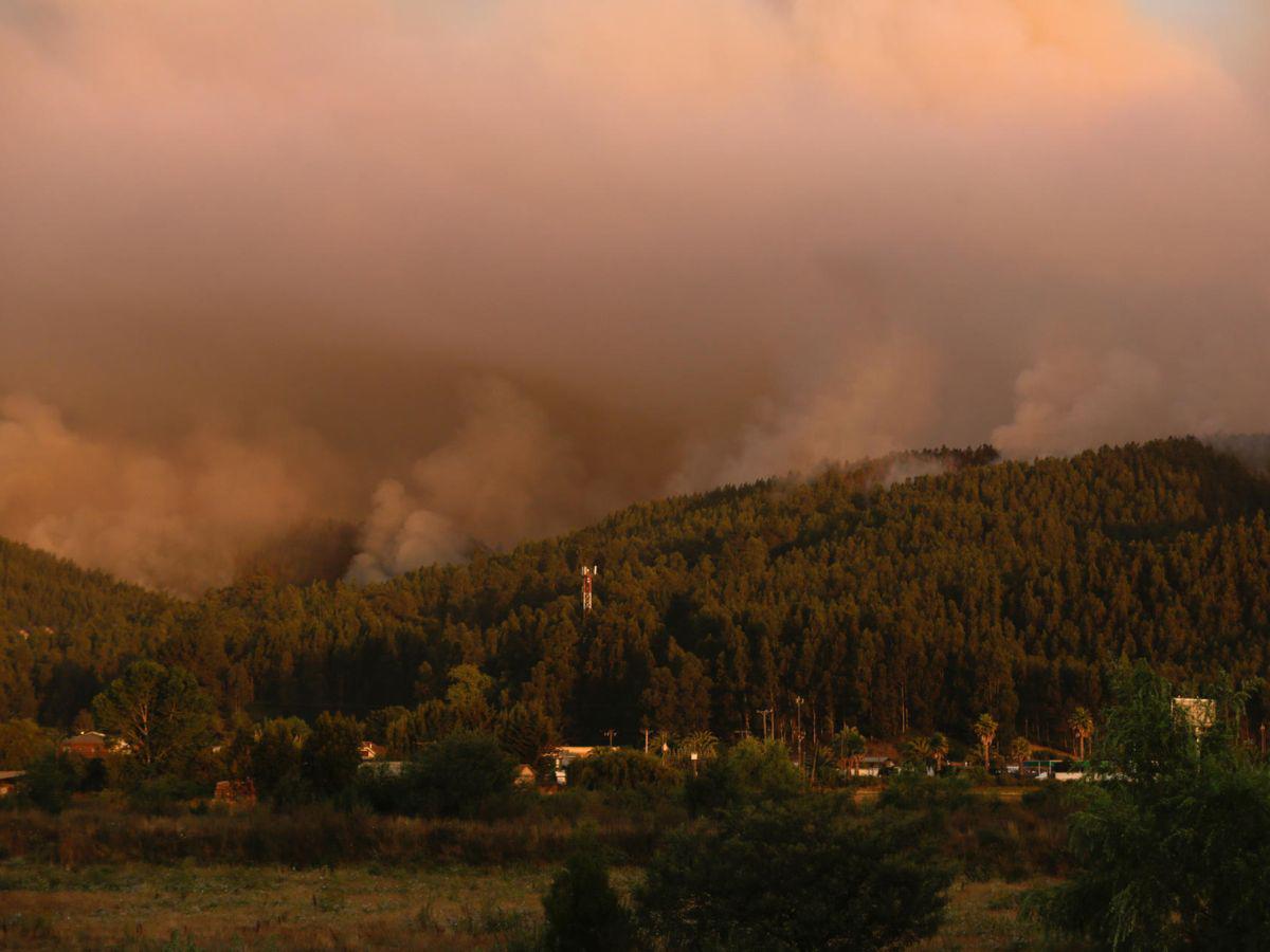 EN FOTOS: Con mascotas en brazos y lágrimas, chilenos abandonan sus casas tras incendio