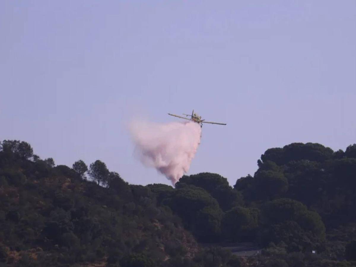 Fuego voraz arrasa con 45,000 hectáreas en España y obliga a evacuar a miles de personas
