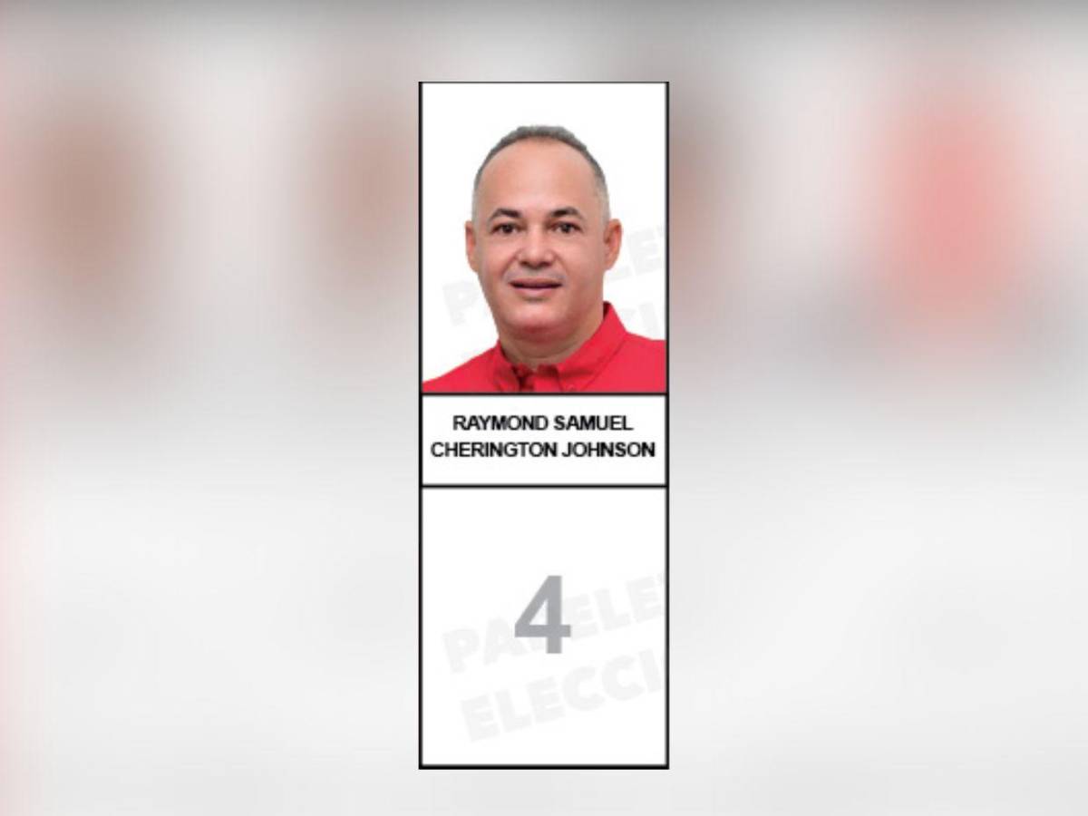 Diputados que buscan reelección y nuevos aspirantes integran la papeleta del Partido Liberal