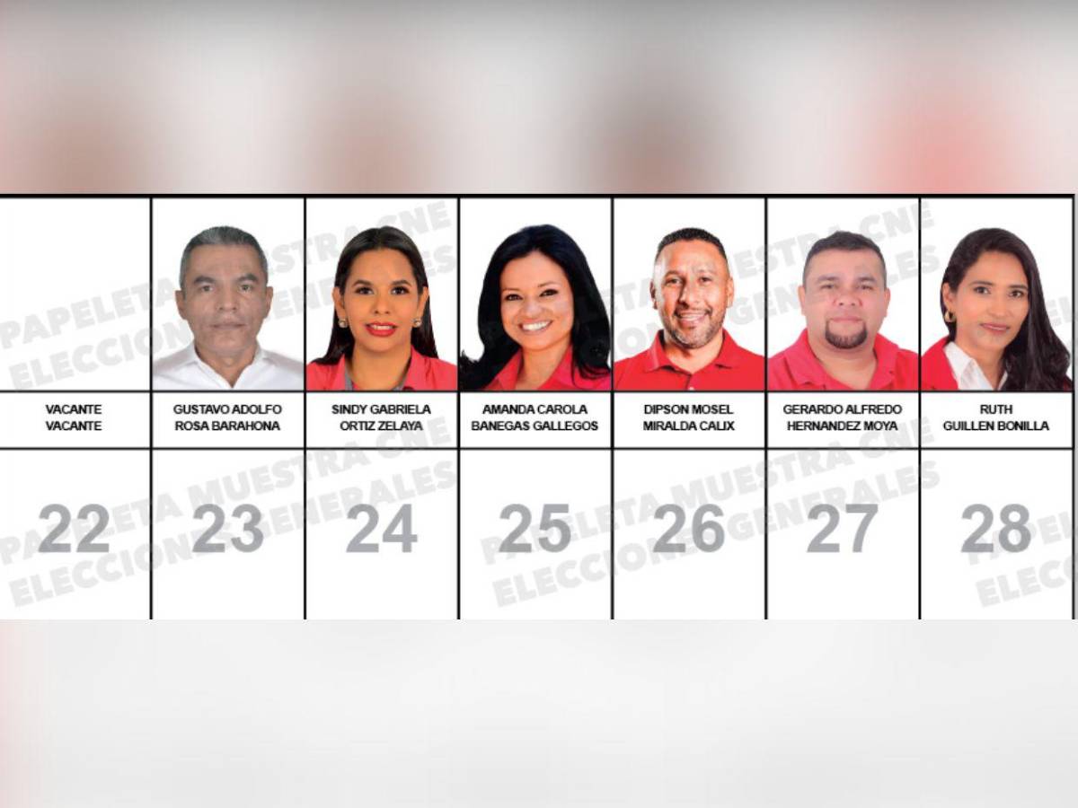 Diputados que buscan reelección y nuevos aspirantes integran la papeleta del Partido Liberal