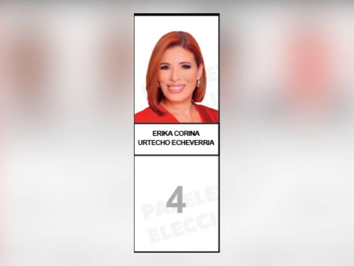 Diputados que buscan reelección y nuevos aspirantes integran la papeleta del Partido Liberal