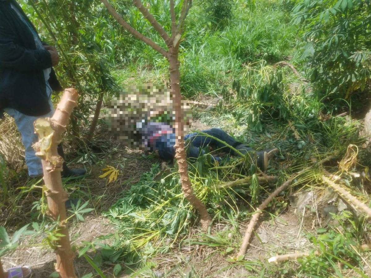 Encuentran el cuerpo de un hombre en los campos bananeros de La Lima, Cortés