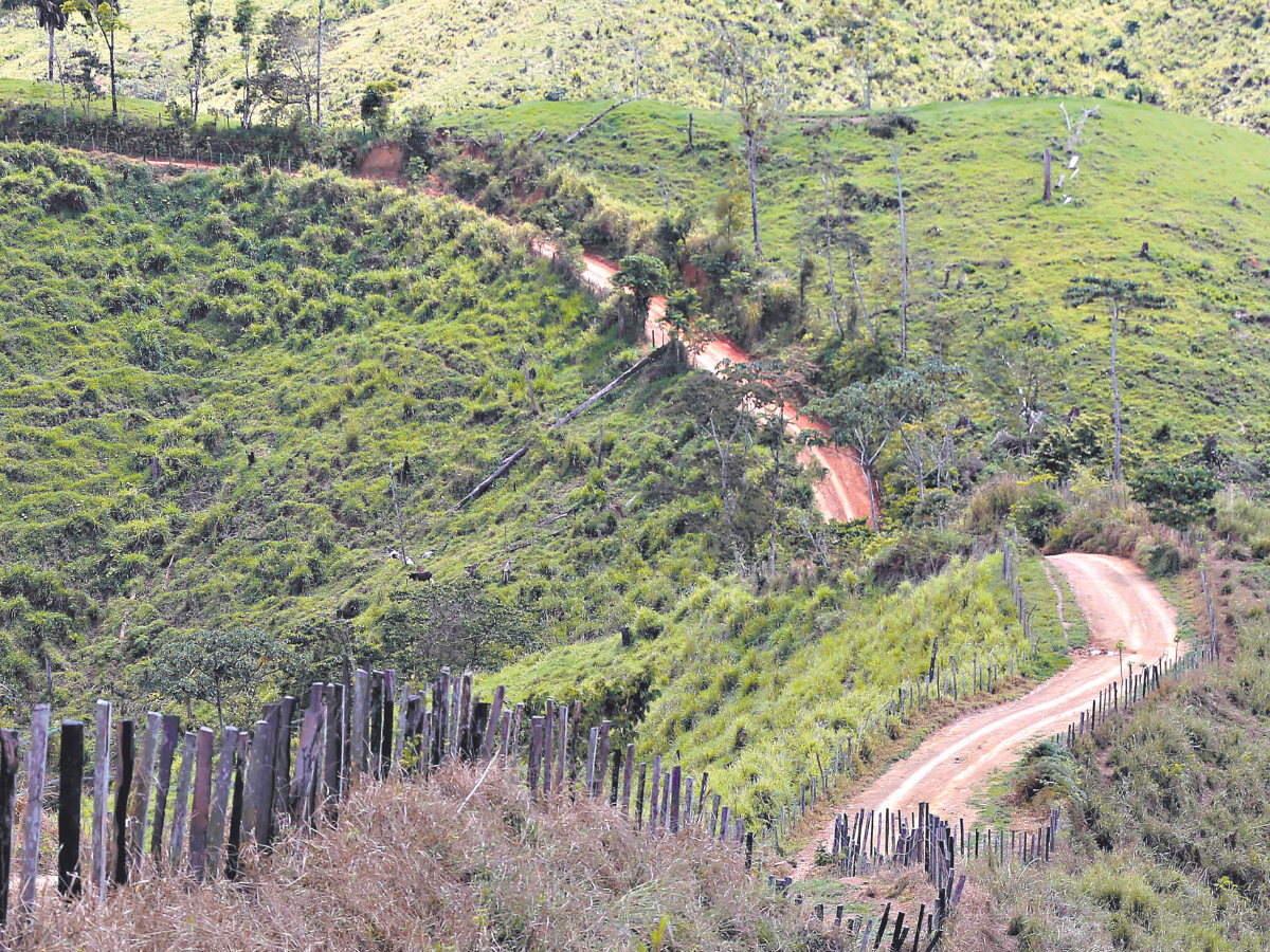 Carreteras de La Mosquitia son controladas por narcos