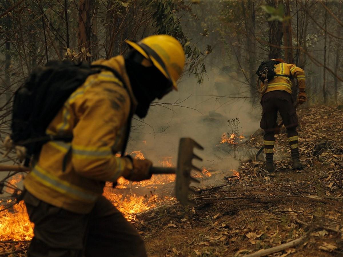 Al menos 23 muertos deja incendios forestales en Chile