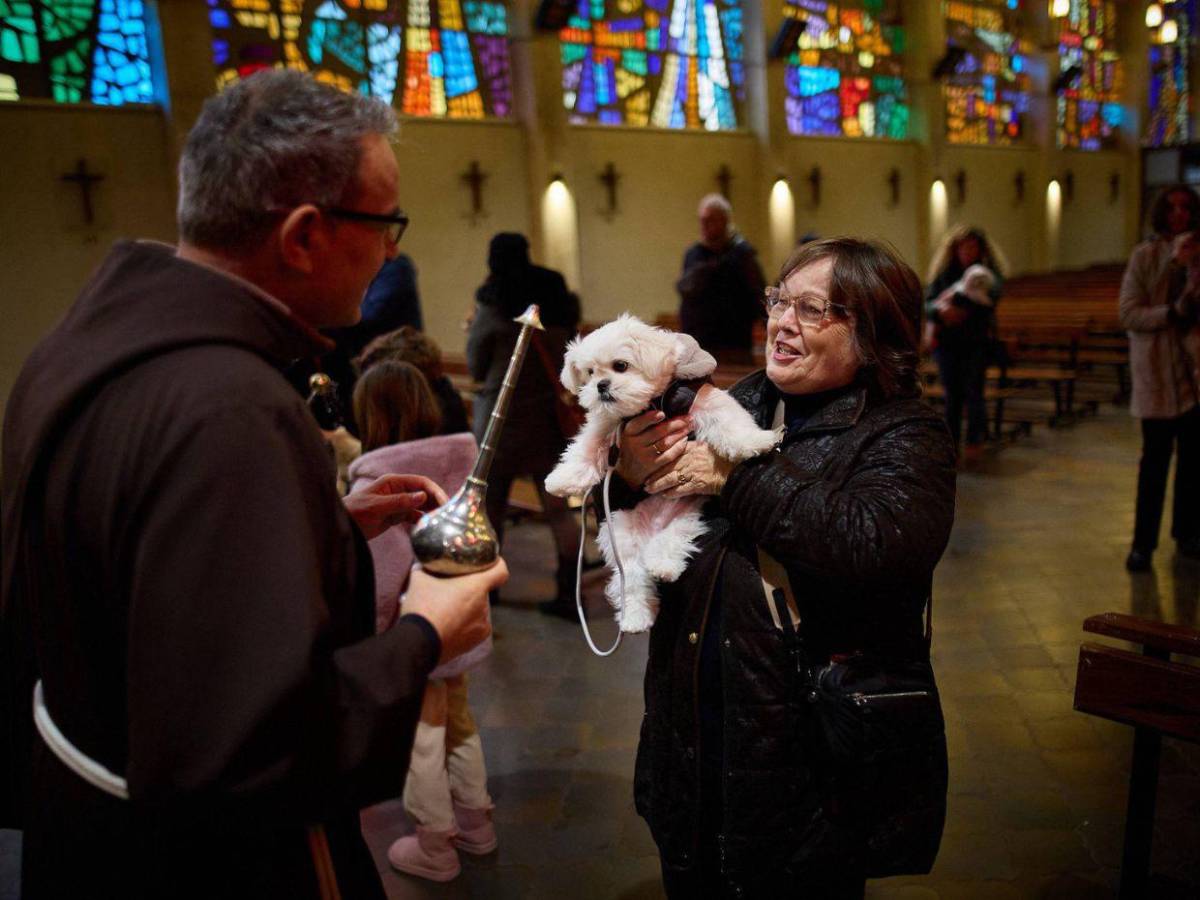 Entre patitas y bendiciones: la emotiva bendición de mascotas en San Antonio de Abad