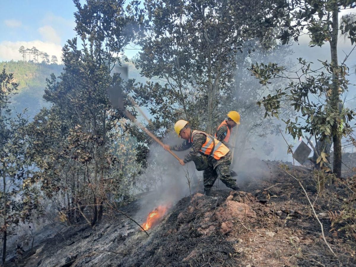 ¡Arde en llamas Triquilapa! El fuego devora uno de los pulmones de Tegucigalpa