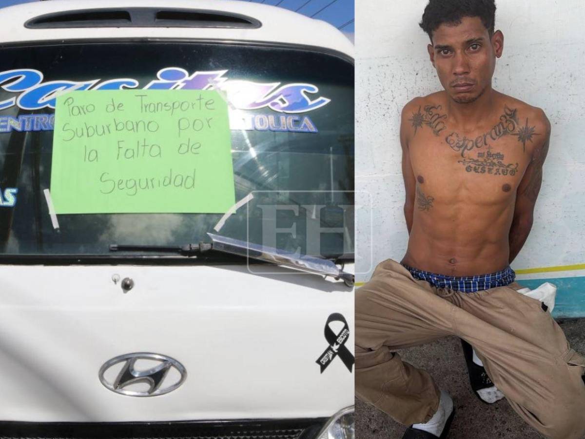 Revelan hipótesis del asesinato del conductor de bus de la ruta Mateo-Las Tapias; descartan extorsión