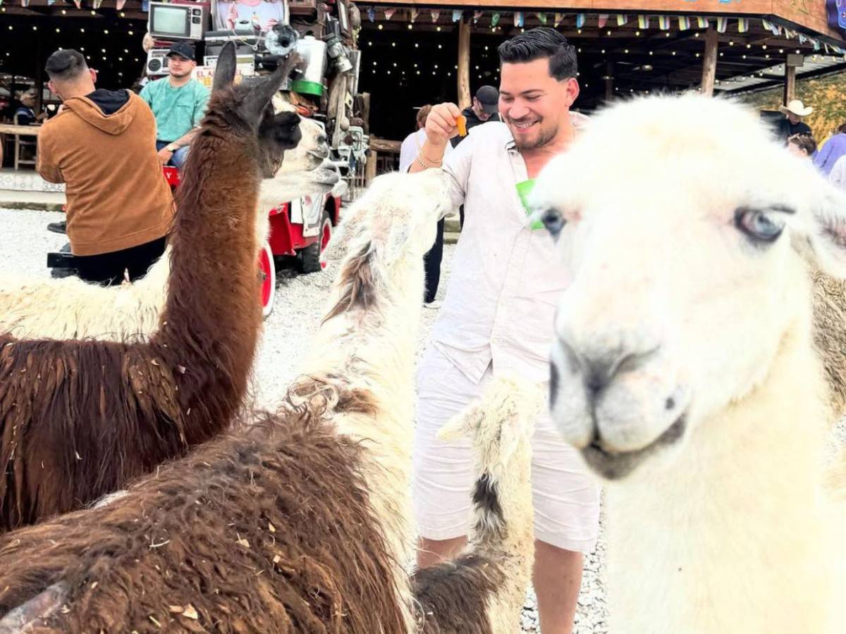 ¿Hernán Martínez sigue grave tras brutal choque?:Creemos en el poder de los milagros